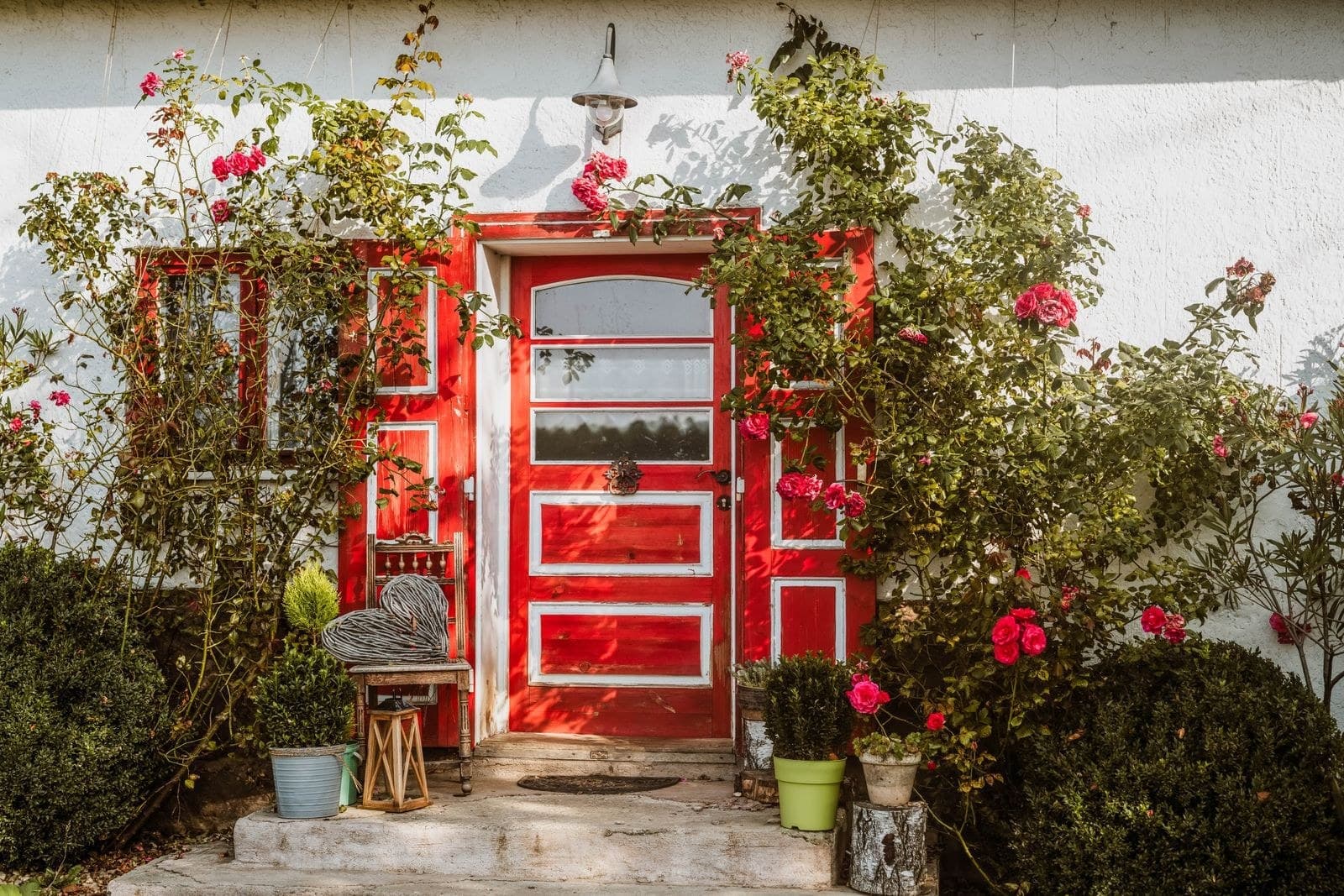 Red front door and windows on a white cottage wall framed by climbing roses