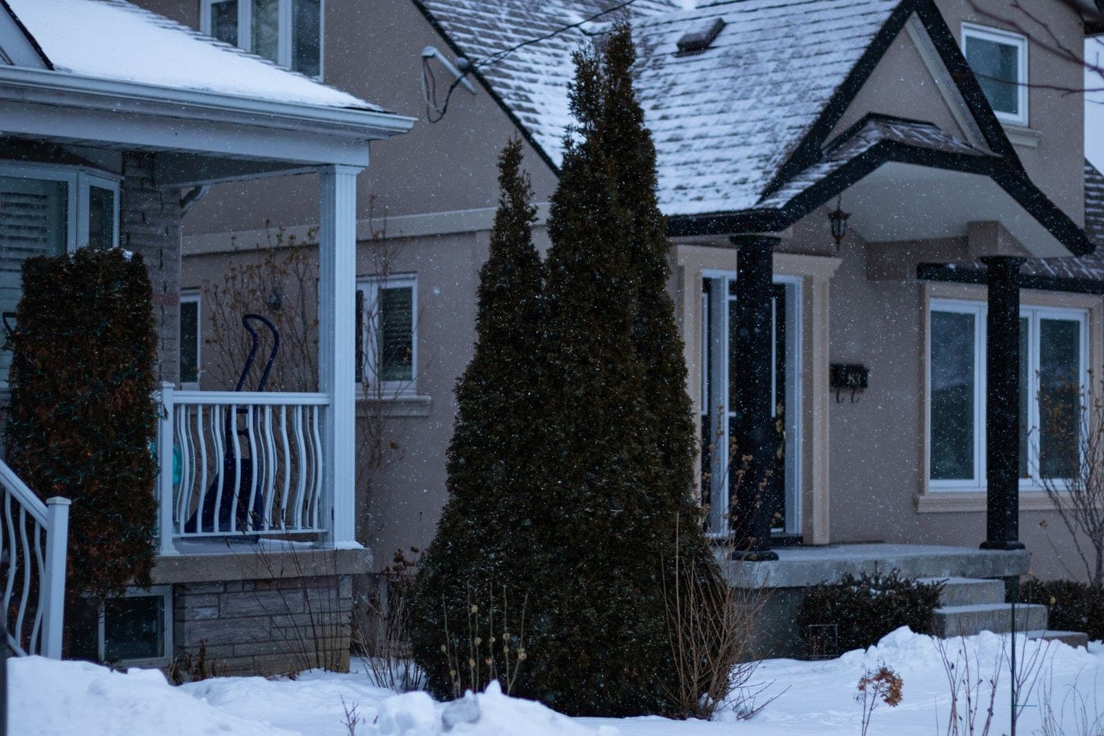 Stucco house with white windows behind cedars in falling snow